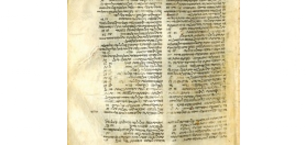 Samaritan menuscript. Photo by Michigan State University
