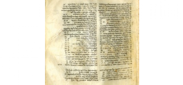Samaritan menuscript. Photo by Michigan State University